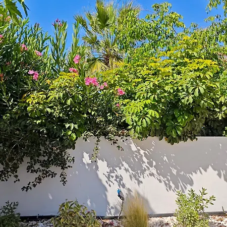 Angela Harmony Collection